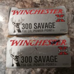 300 Savage Ammo